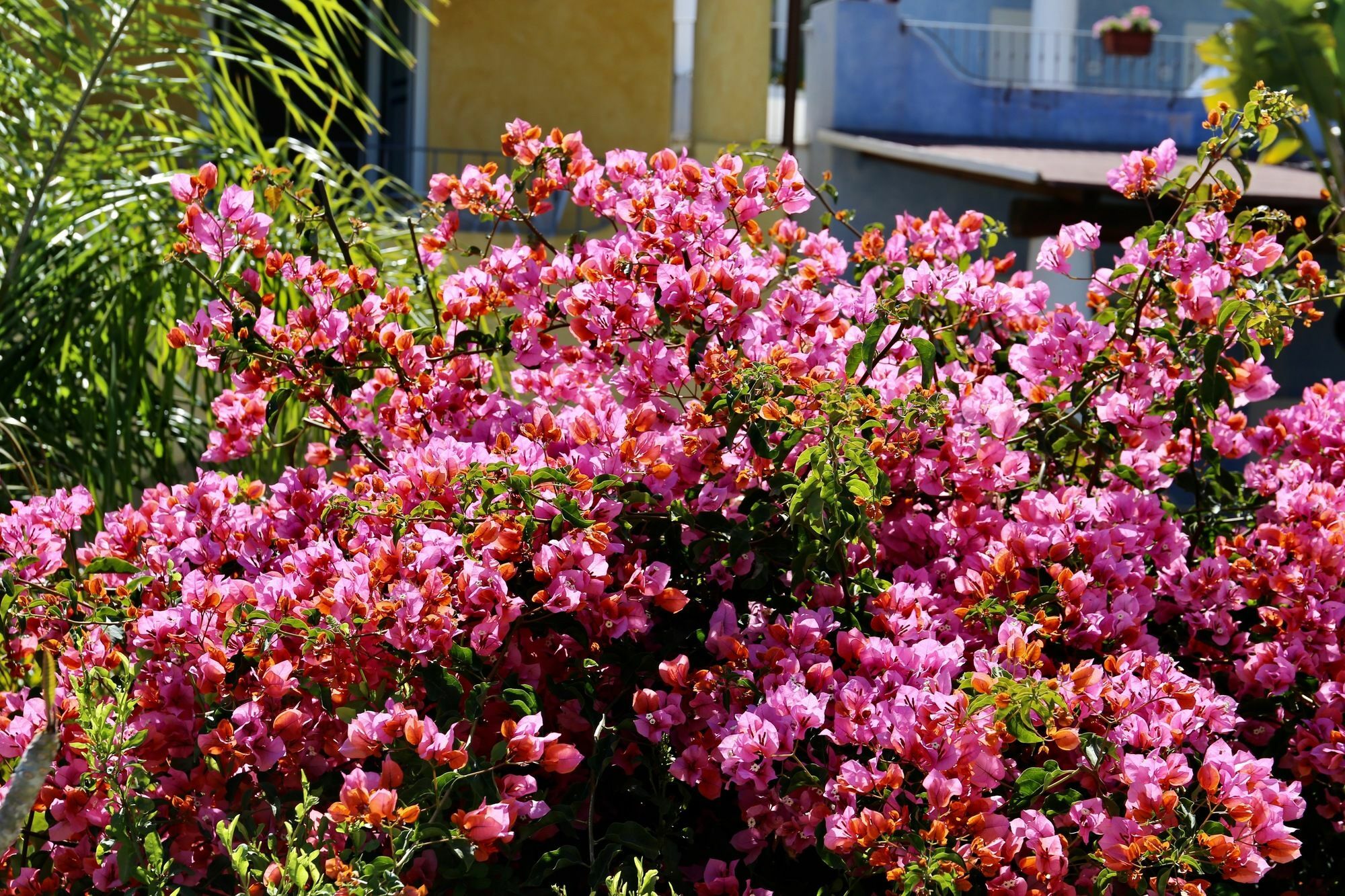 Hotel Bougainville Lipari  Kültér fotó